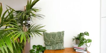 As melhores plantas para transformar corredores escuros em espaços cheios de vida