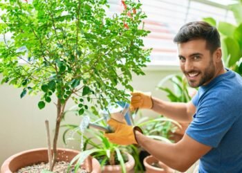 Especialista revela os riscos da técnica muito utilizada para adicionar ferro em vasos e canteiros