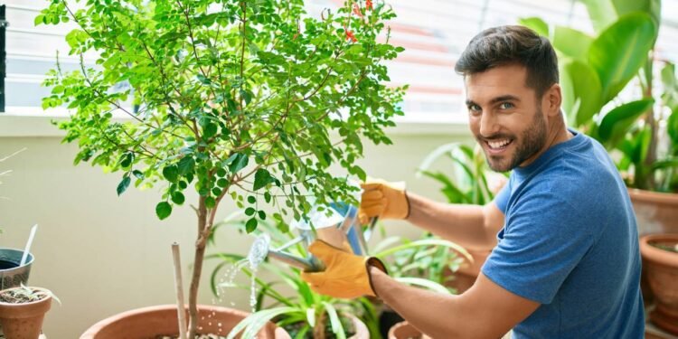 Dica de como cuidar do jardim - Créditos: depositphotos.com / Krakenimages.com