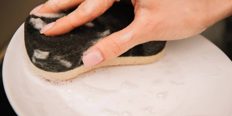 As escovas de cerdas naturais proporcionam um uso mais higiênico - Créditos: depositphotos.com / AlexShadyuk