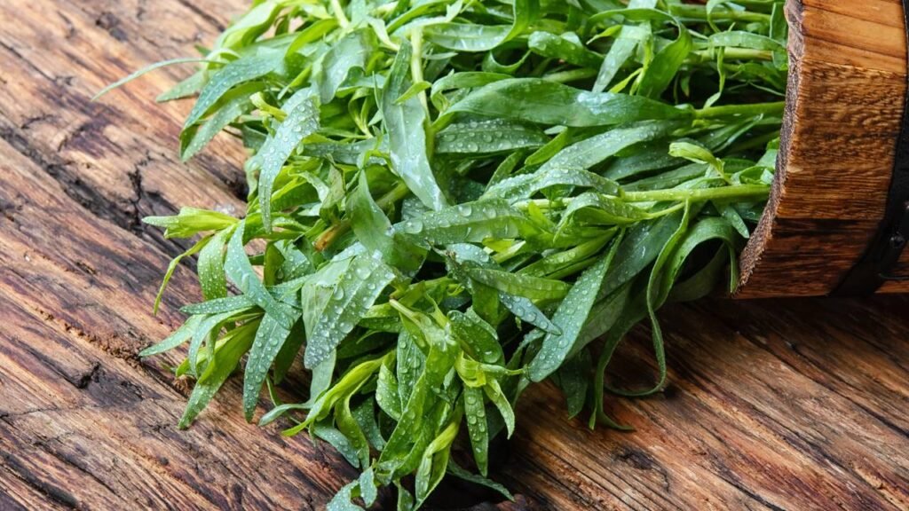 Transformei meu tempero do dia a dia com plantas que poucos conhecem e agora não vivo sem