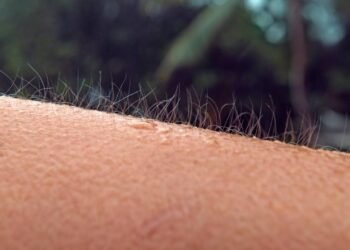 Por que sentimos arrepios ao ouvir uma música marcante