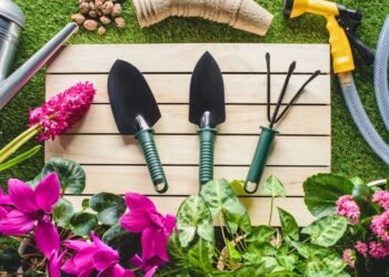 Plantas ideais para cada clima que mantêm seu jardim sempre vivo