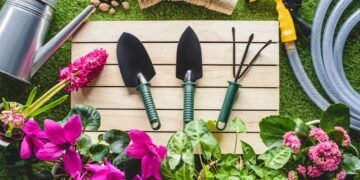 Plantas ideais para cada clima que mantêm seu jardim sempre vivo