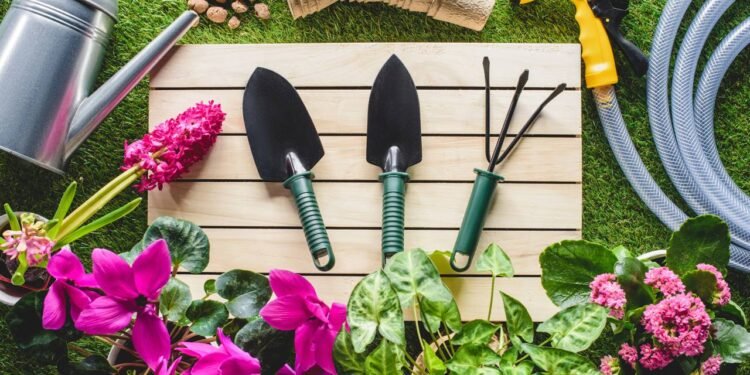 Plantas ideais para cada clima que mantêm seu jardim sempre vivo