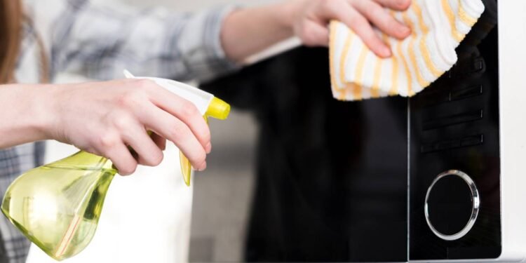 O método que virou febre nas redes para limpar o micro-ondas - Créditos: depositphotos.com / HayDmitriy