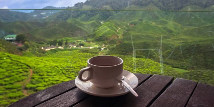 Temperaturas acima de 30°C e chuvas à noite, o que esperar do clima neste começo de mês em BH