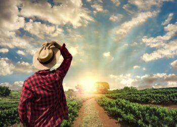 Minas Gerais vira líder do café e tem maior crescimento na agro