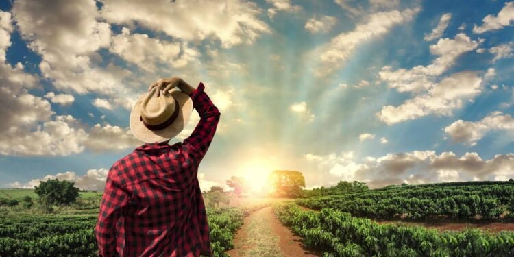 Minas Gerais vira líder do café e tem maior crescimento na agro