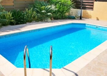 As árvores ideais que trazem o toque tropical para sua casa sem sujar ou estragar a piscina
