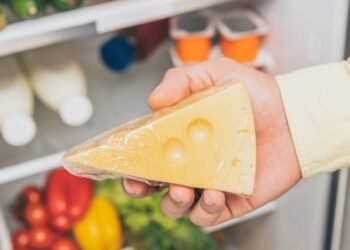 Guardar queijos de maneira correta evita problemas de saúde