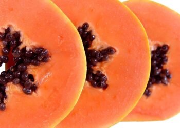 Aprenda a plantar mamão na sua casa e aproveite todos os benefícios