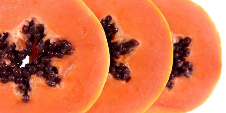 Tenha mamões o ano todo - Créditos: depositphotos.com / zenpix