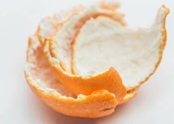 O melhor jeito de reaproveitar sementes de tangerina em casa