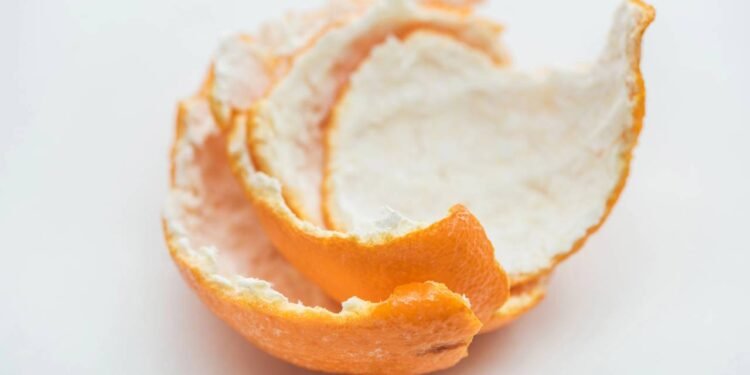 O melhor jeito de reaproveitar sementes de tangerina em casa