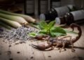 Como fazer um repelente natural que afasta escorpiões e ainda perfuma o ambiente