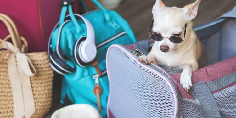 Seu pet merece férias - Créditos: depositphotos.com / Phuttharak