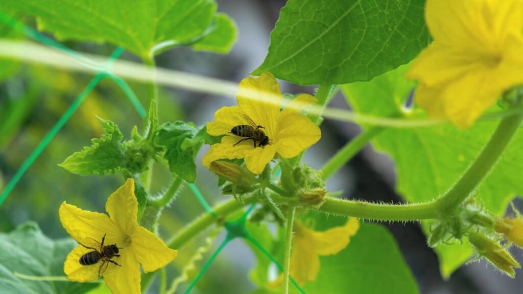 3 insetos que você nunca deve matar para manter seu jardim em equilíbrio