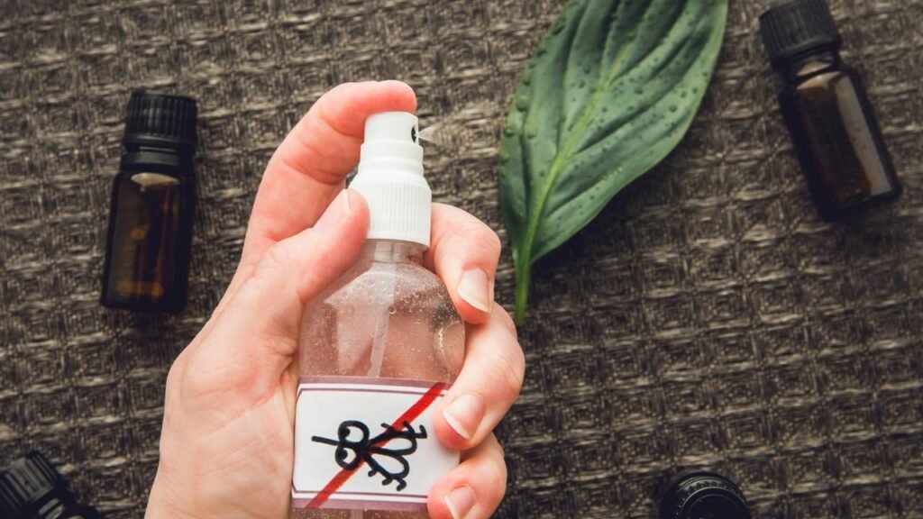 A erva que protege contra o mau-olhado e ainda espanta mosquitos