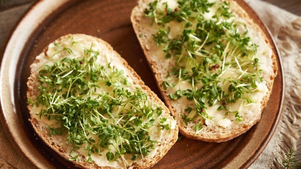 Sem tempo pra cuidar da pele? Esse ingrediente faz isso por você e ainda é fácil de plantar