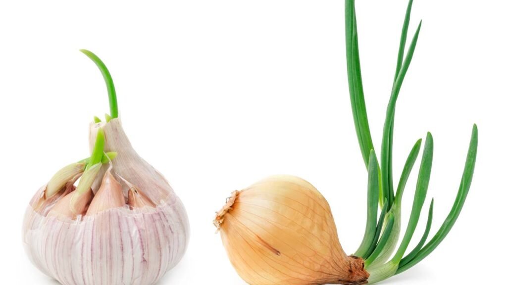 Chefs explicam como guardar alho e cebola do jeito certo e economizar mais