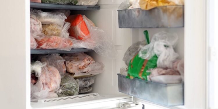 Como congelar alimentos sem perder sabor e textura de verdade
