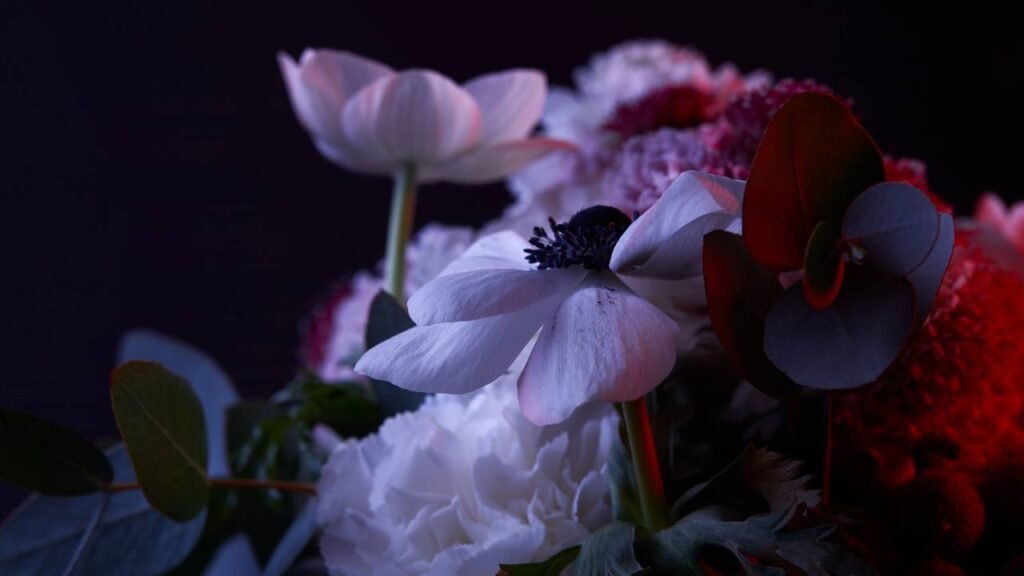 Flores que brilham no escuro e deixam seu jardim com cheiro de paz