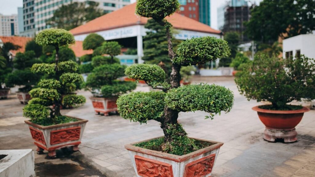 A técnica japonesa que transforma qualquer planta em arte viva