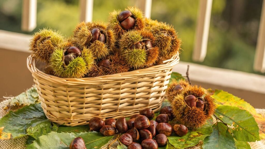 Castanhas causam inchaço? Saiba o que fazer para evitar o desconforto