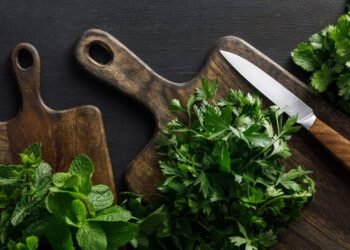 Como conservar cheiro-verde fresco por até 15 dias na geladeira