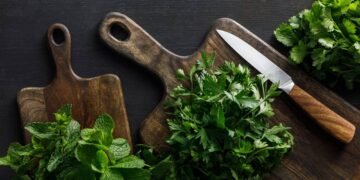 Como conservar cheiro-verde fresco por até 15 dias na geladeira