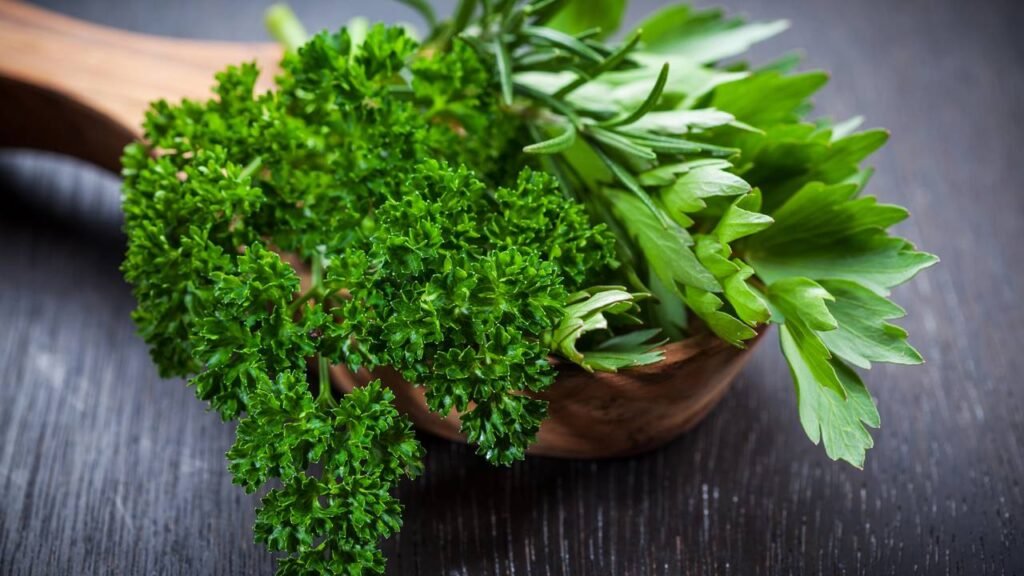 Como conservar cheiro-verde fresco por até 15 dias na geladeira