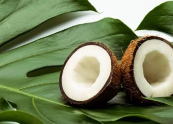 Benefícios do coco para a saúde e o bem-estar
