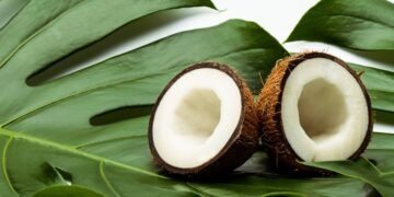 Benefícios do coco para a saúde e o bem-estar