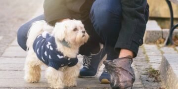 Multa para quem não recolhe cocô do cachorro é maior do que muitos imaginam