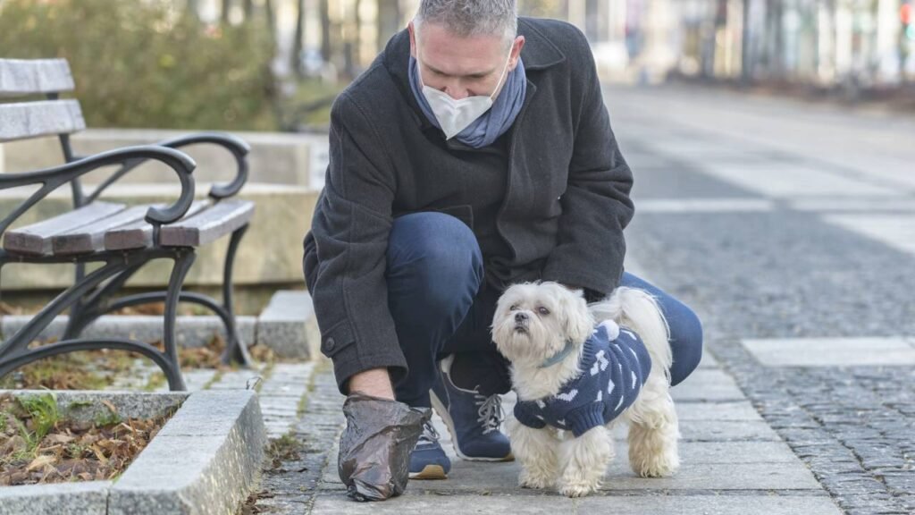 Multa para quem não recolhe cocô do cachorro é maior do que muitos imaginam