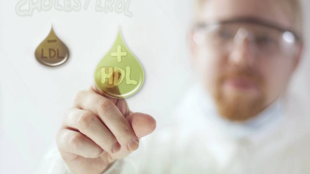 2 sementes ricas em fibra que regulam o intestino e ajudam no controle da fome