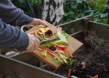 Transforme lixo em vida e conheça o poder da compostagem doméstica