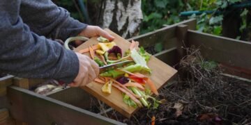 Transforme lixo em vida e conheça o poder da compostagem doméstica