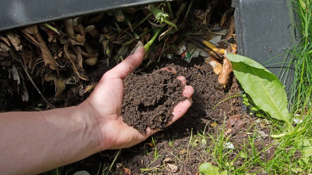 Transforme lixo em vida e conheça o poder da compostagem doméstica