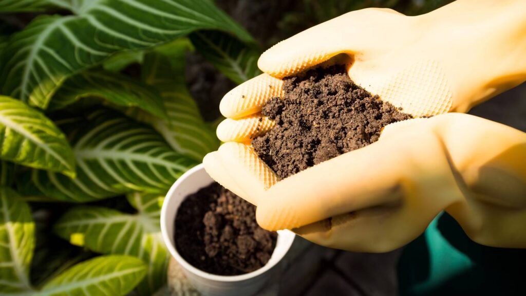 Esse uso simples da casca de alho protege e alimenta suas plantas ao mesmo tempo