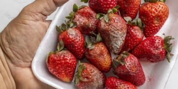 O erro comum que faz frutas estragarem rápido demais no calor