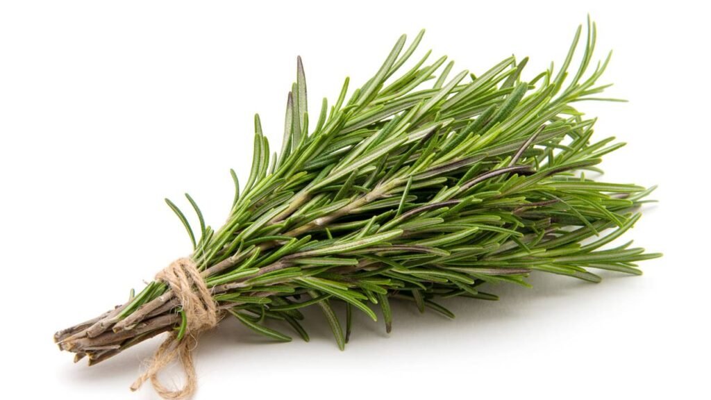 Depois que coloquei isso na janela, os pernilongos sumiram da minha casa