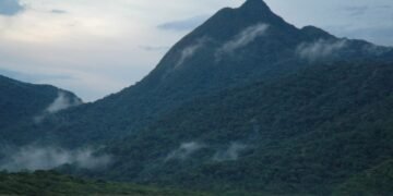 A ilha mais preservada de São Paulo conquista quem busca paz de verdade