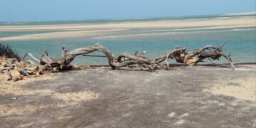 Esse paraíso no Piauí tá encantando famílias que buscam paz e natureza