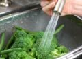 Você está lavando brócolis errado a vida inteira e nem sabia, saiba a forma correta