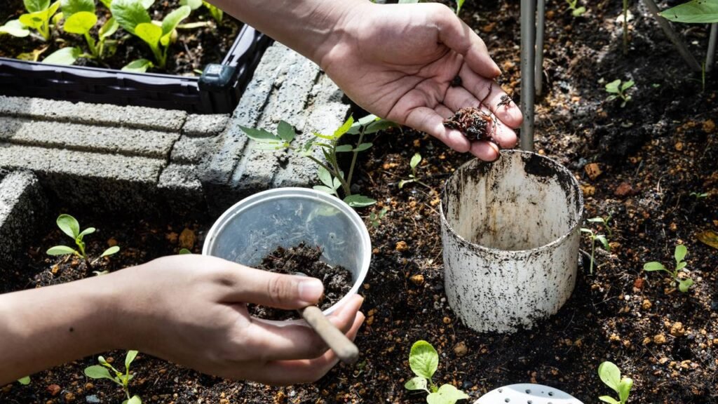 Você sente nojo, mas a minhoca pode ser a melhor amiga das suas plantas