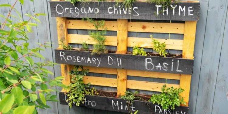 Essa hortinha está virando tendência entre quem busca mais saúde com simplicidade