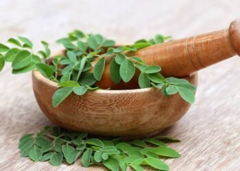 A planta mais completa e esquecida que pode mudar sua alimentação