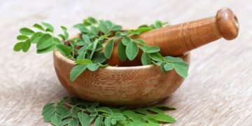 A planta mais completa e esquecida que pode mudar sua alimentação